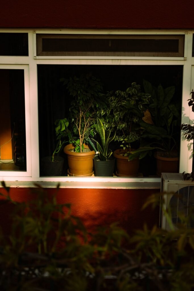 Sensor de humedad de suelo WiFi: guía para plantas y jardín